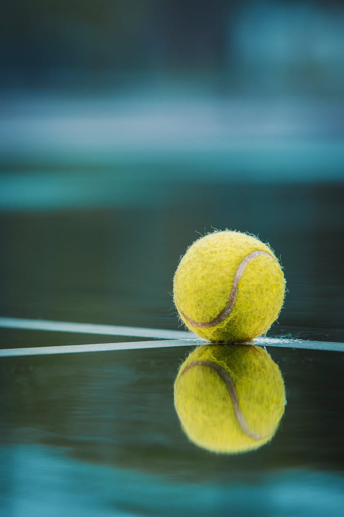 services-03 Close-up of a tennis ball reflecting on a wet court, perfect for sports themes.